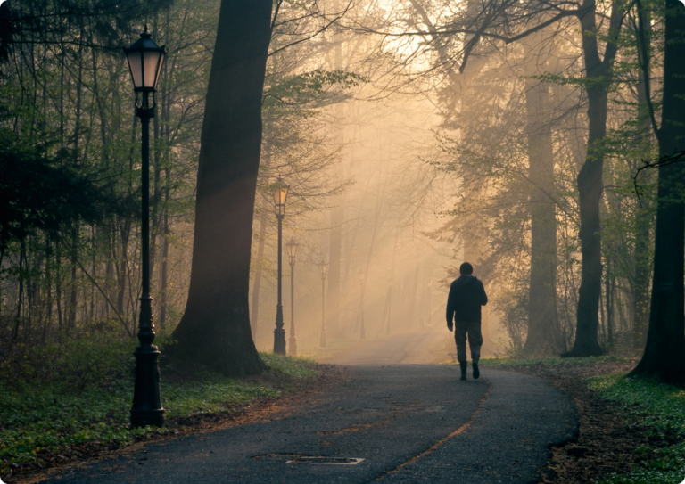 In Search of Meaning