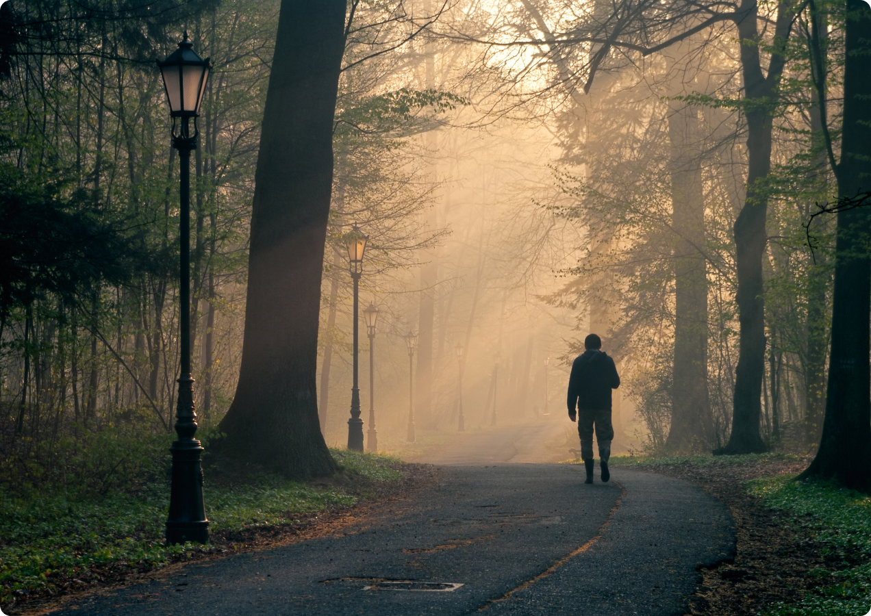 In Search of Meaning